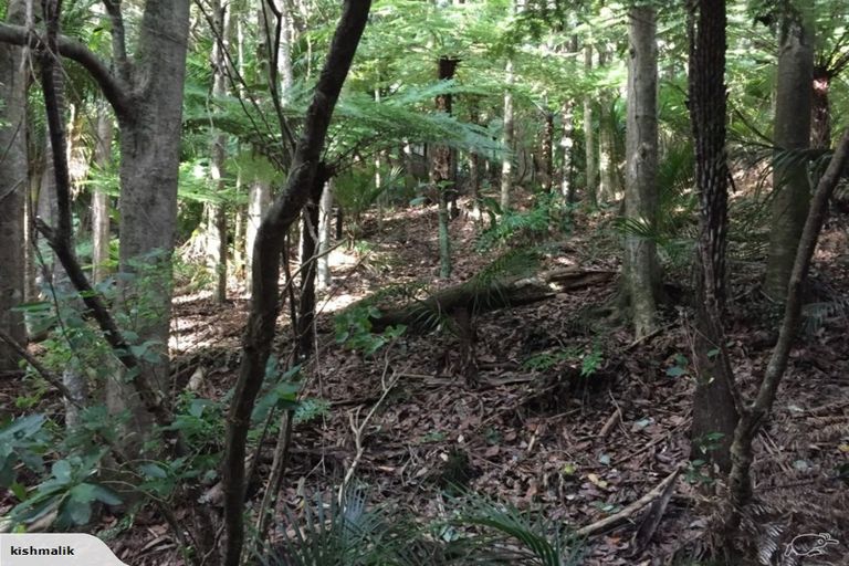 Photo of property in 16 Waikarekare Lane, Karekare, Auckland, 0772