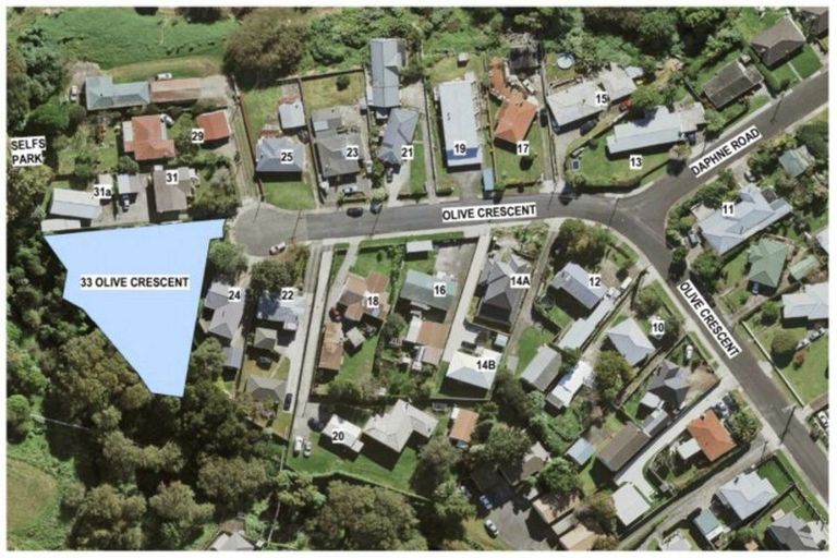 Photo of property in 33 Olive Crescent, Papatoetoe, Auckland, 2025