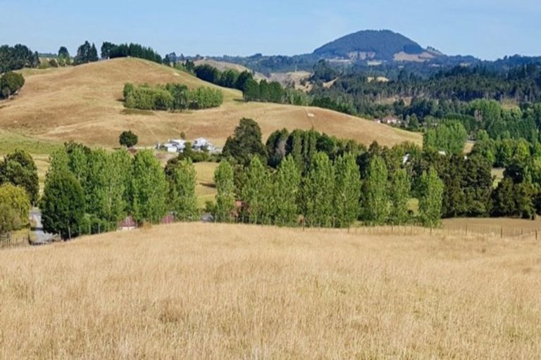 Photo of property in 47 Tavinor Road, Otaika, Whangarei, 0170
