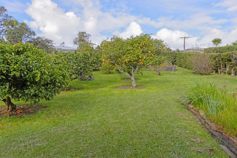 Photo of property in 19 Blease Street, New Lynn, Auckland, 0600