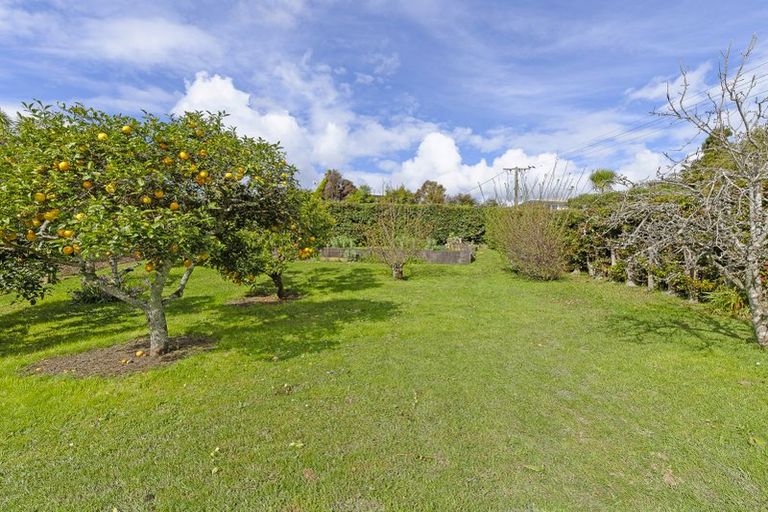 Photo of property in 19 Blease Street, New Lynn, Auckland, 0600