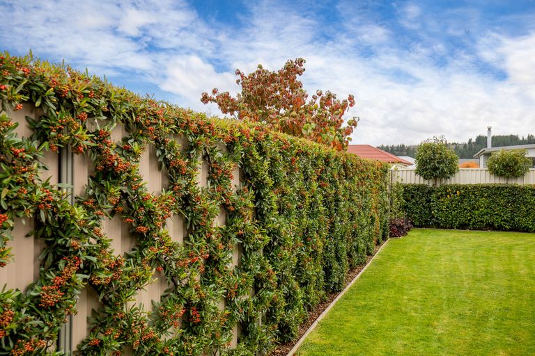 Photo of property in 4 Thyme Crescent, Alexandra, 9320