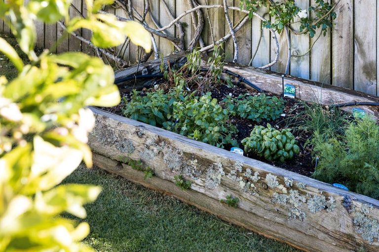 Photo of property in 3 Westmoreland Street East, Grey Lynn, Auckland, 1021