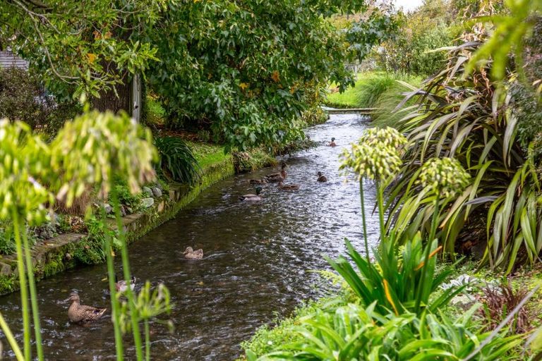 Photo of property in 12 Weka Place, Masterton, 5810