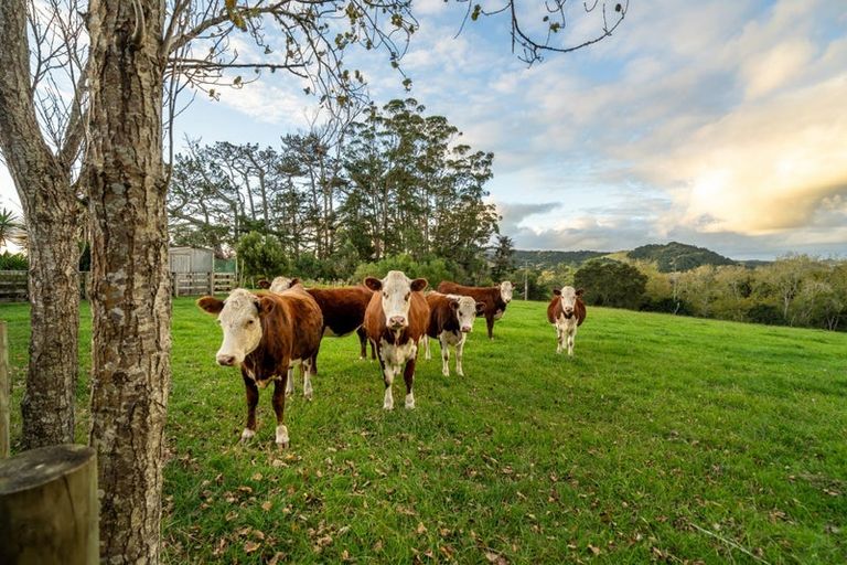 Photo of property in 45 Drinnan Road, Waitoki, Kaukapakapa, 0871