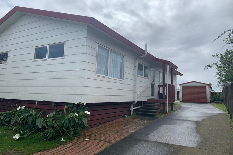 Photo of property in 29 Barneys Farm Road, Clendon Park, Auckland, 2103