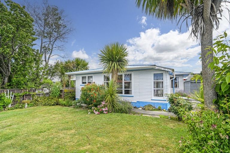 Photo of property in 201 Nikau Street, Saint Leonards, Hastings, 4120