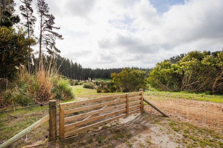 Photo of property in 545 Himatangi Beach Road, Himatangi Beach, Foxton, 4891