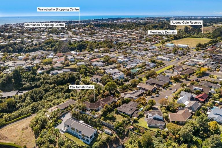 Photo of property in 12a Tamati Place, Merrilands, New Plymouth, 4312