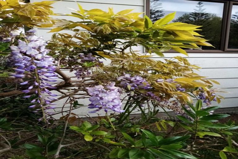 Photo of property in 12 Bank Street, Kaitaia, 0410