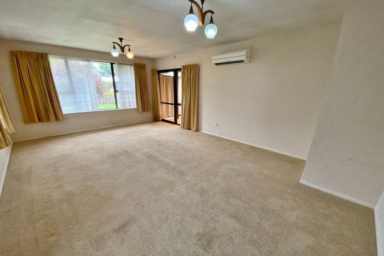 Photo of property in 1/20 Hillmorton Street, Hillmorton, Christchurch, 8024