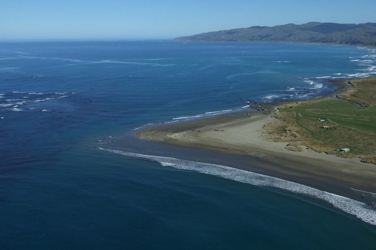 Photo of property in 1 Nunu Drive, Flat Point, Masterton, 5883