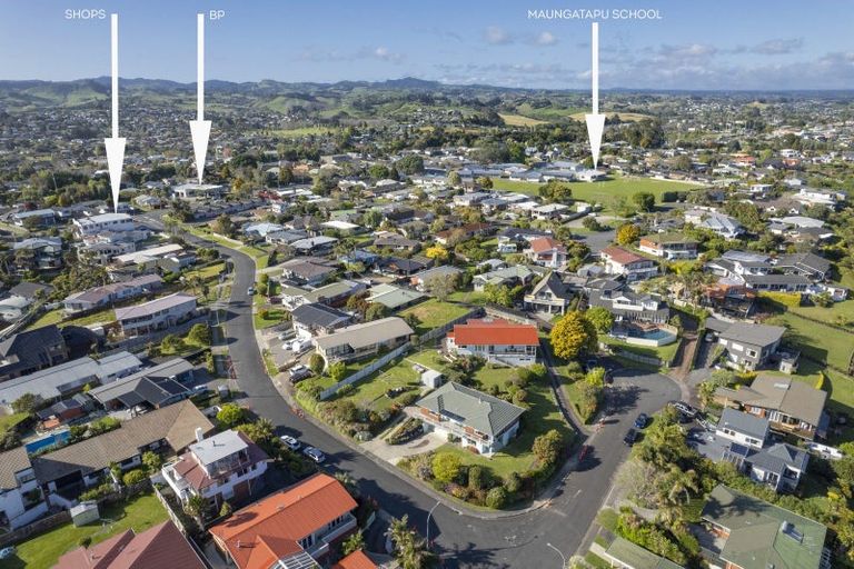 Photo of property in 34 Vine Avenue, Maungatapu, Tauranga, 3112