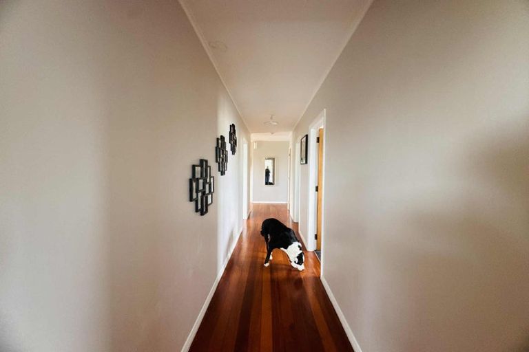 Photo of property in 184 Maxwells Line, Awapuni, Palmerston North, 4412