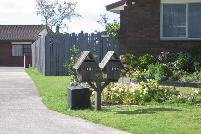 Photo of property in 14a Marwood Place, Mount Maunganui, 3116