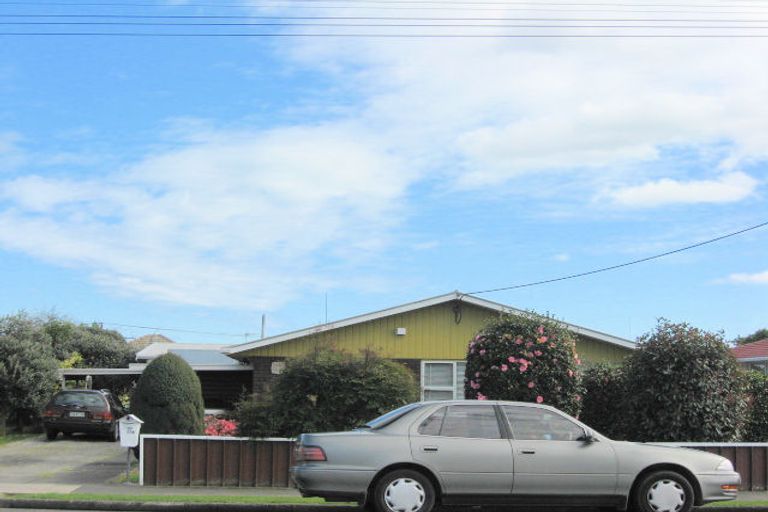 Photo of property in 77 Bartholomew Road, Levin, 5510