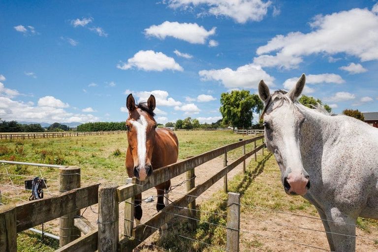 Photo of property in 119c Dixons Line, Bunnythorpe, Palmerston North, 4481