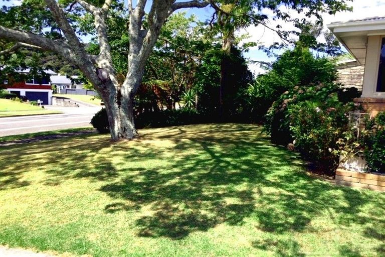 Photo of property in 232 King Street, Whakatane, 3120