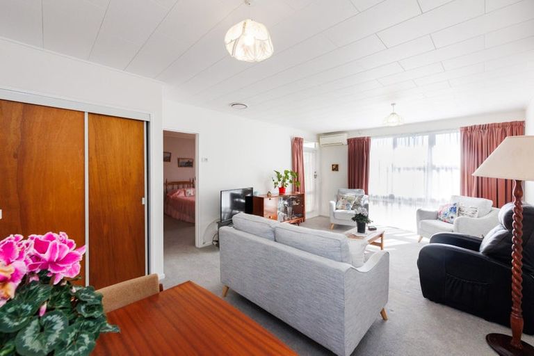 Photo of property in 8/160 Ruahine Street, Roslyn, Palmerston North, 4414