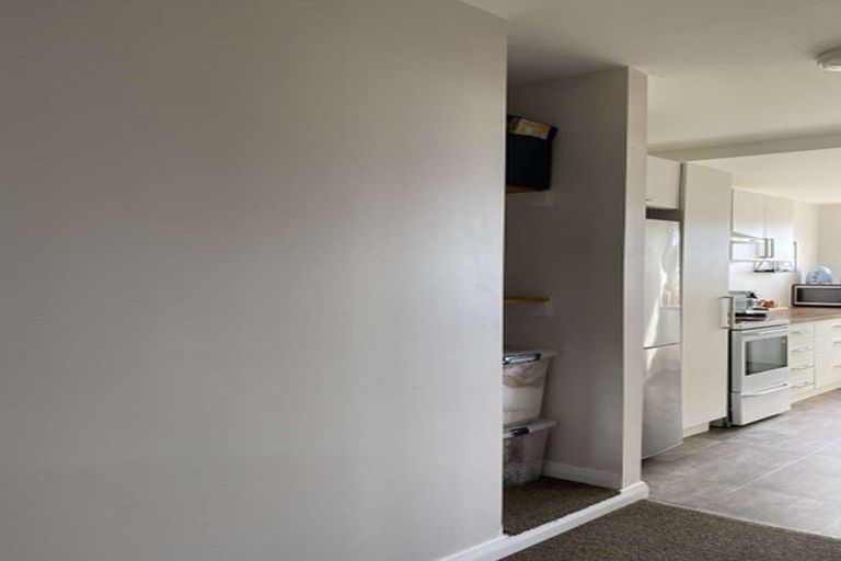 Photo of property in 162 The Ridgeway, Mornington, Wellington, 6021