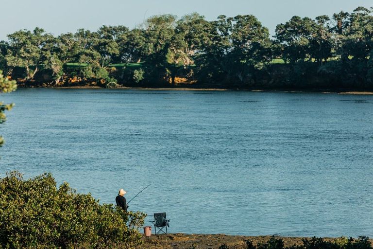 Photo of property in 73 Tahuna Minhinnick Drive, Glenbrook, 2681