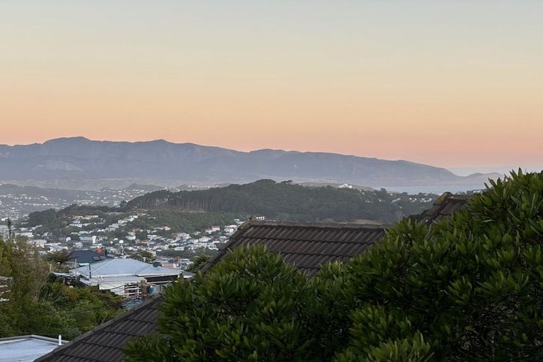 Photo of property in 71 Washington Avenue, Brooklyn, Wellington, 6021