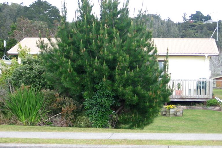Photo of property in 243 Otahu Road, Whangamata, 3620