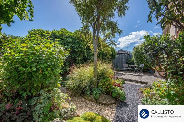 Photo of property in 16f Mure Street, Mosgiel, 9024