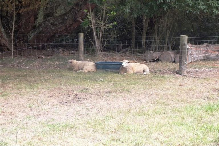 Photo of property in 86a Upper Waiwera Road, Puhoi, Silverdale, 0994