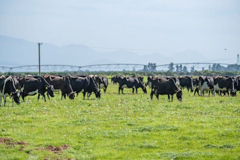 Photo of property in 282 Sharlands Road, Dunsandel, Rakaia, 7783