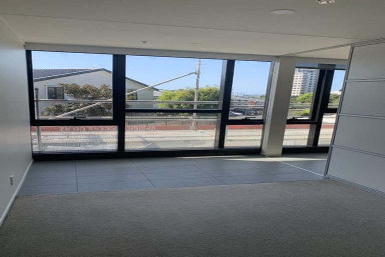 Photo of property in Luna Apartments, 1p/16 Burton Street, Grafton, Auckland, 1010