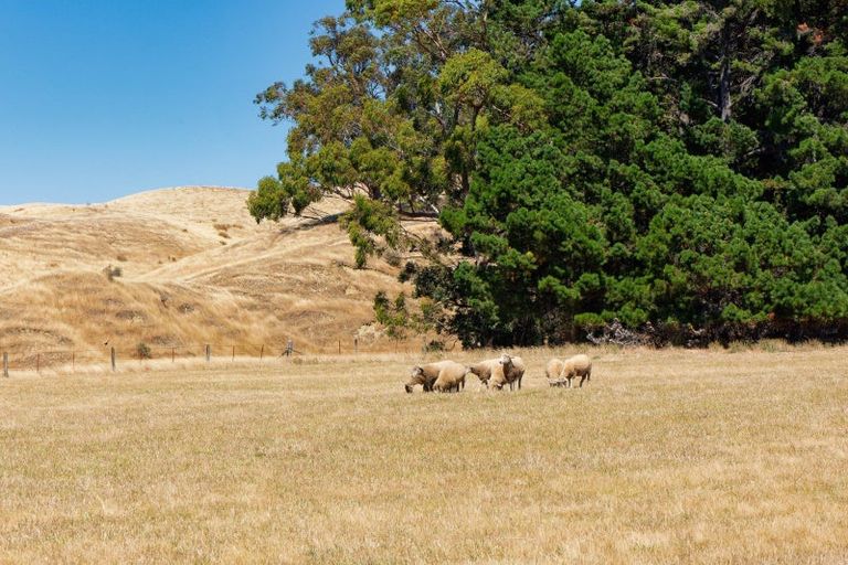 Photo of property in 189 Gulch Road, Ward, Seddon, 7285