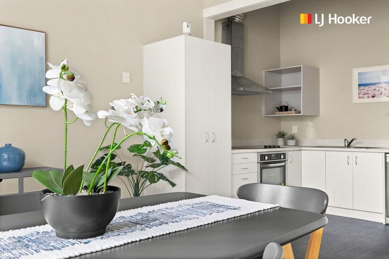 Photo of property in 385 South Road, Caversham, Dunedin, 9012