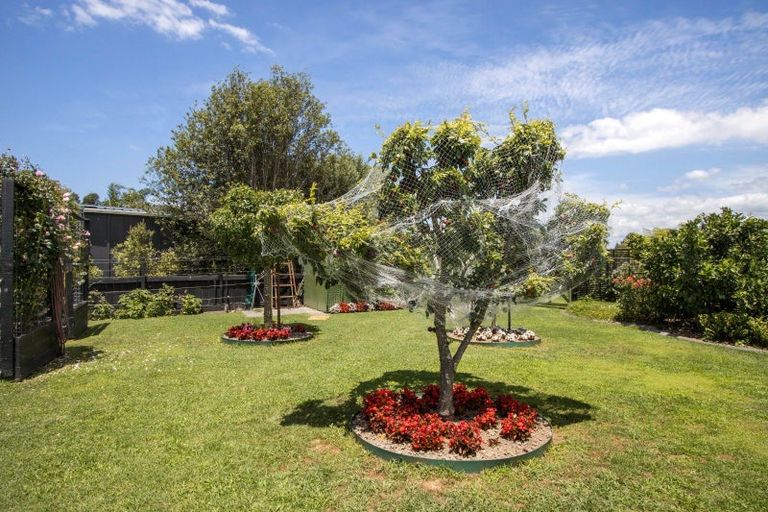 Photo of property in 2 Bransley Grove, Katikati, 3129