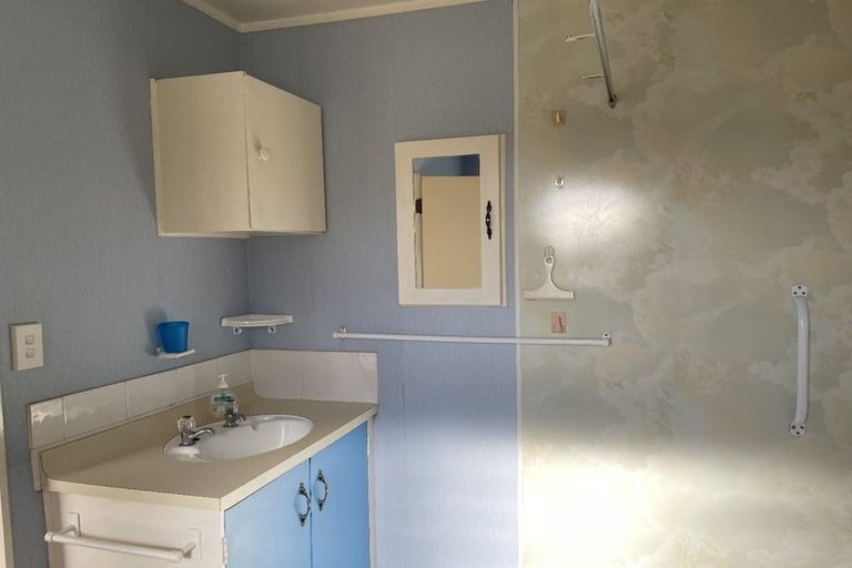 Photo of property in 16b Mako Mako Road, Levin, 5510