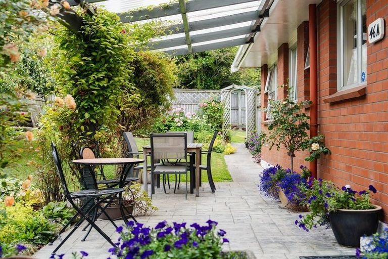 Photo of property in 46a Kenmure Road, Belleknowes, Dunedin, 9011