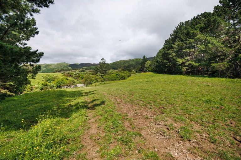 Photo of property in 431 Scotts Road, Linton, Palmerston North, 4472