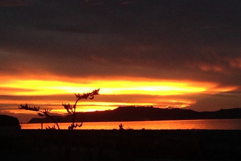 Photo of property in 255 Marine Parade, Eastbourne, Lower Hutt, 5013