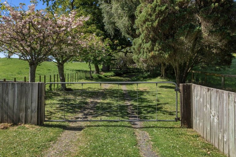 Photo of property in 113 Hogg Road, Rotoma, Whakatane, 3192