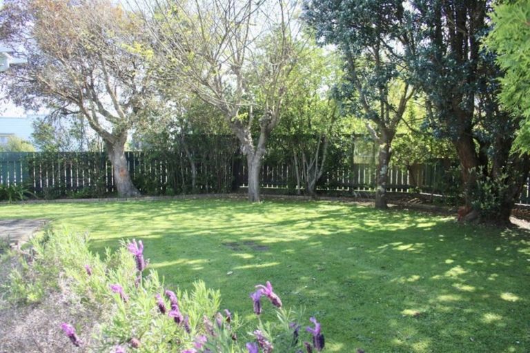 Photo of property in 156 Tiro Tiro Road, Levin, 5510