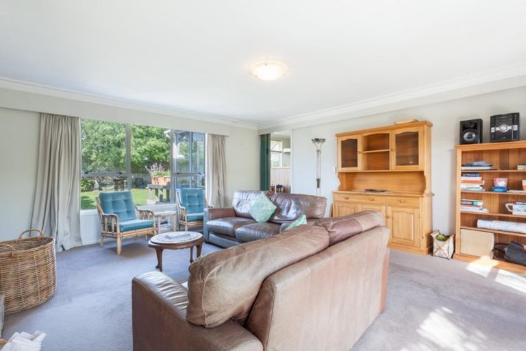 Photo of property in 202 Valley Road, Mount Maunganui, 3116