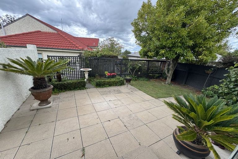 Photo of property in 8a Mchardy Street, Havelock North, 4130