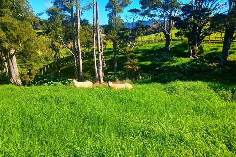 Photo of property in 110 Diggers Valley Road, Herekino, Kaitaia, 0481