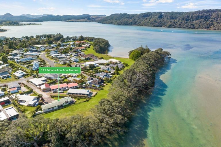 Photo of property in 111 Moana Anu Anu Avenue, Whangamata, 3620