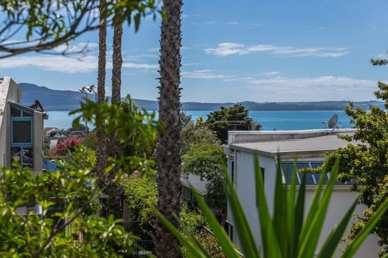 Photo of property in 202 Kohimarama Road, Kohimarama, Auckland, 1071