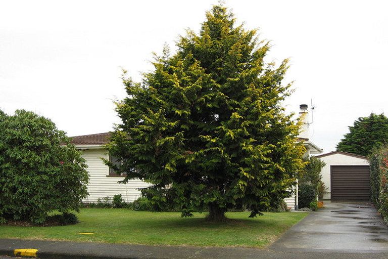 Photo of property in 701 Matai Street, Raureka, Hastings, 4120