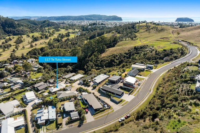 Photo of property in 117 Te Tutu Street, Whangamata, 3691