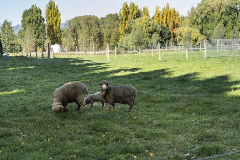 Photo of property in 97 Kelliher Lane, Springvale, Alexandra, 9393