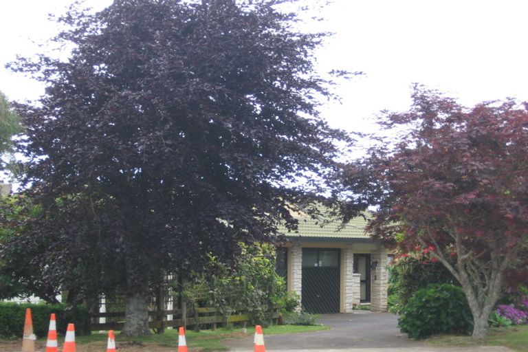 Photo of property in 6 Gerald Place, Omokoroa, 3114