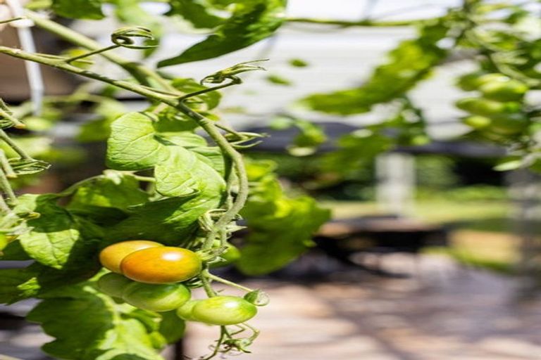 Photo of property in 3 Sheridan Crescent, Leamington, Cambridge, 3432